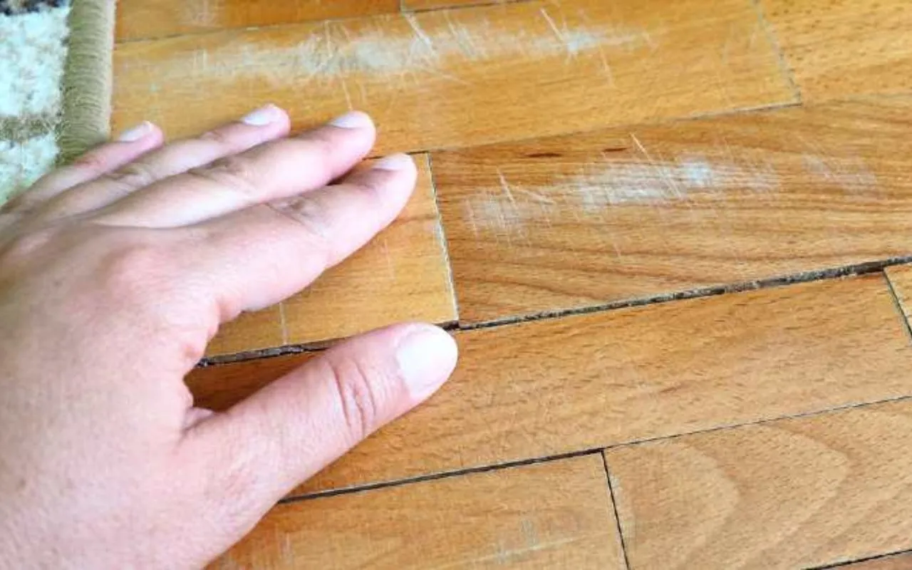 Attenzione alla troppa acqua: rovina i pavimenti in legno