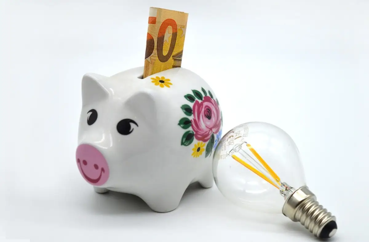 Come ridurre del 30% i costi domestici in un anno