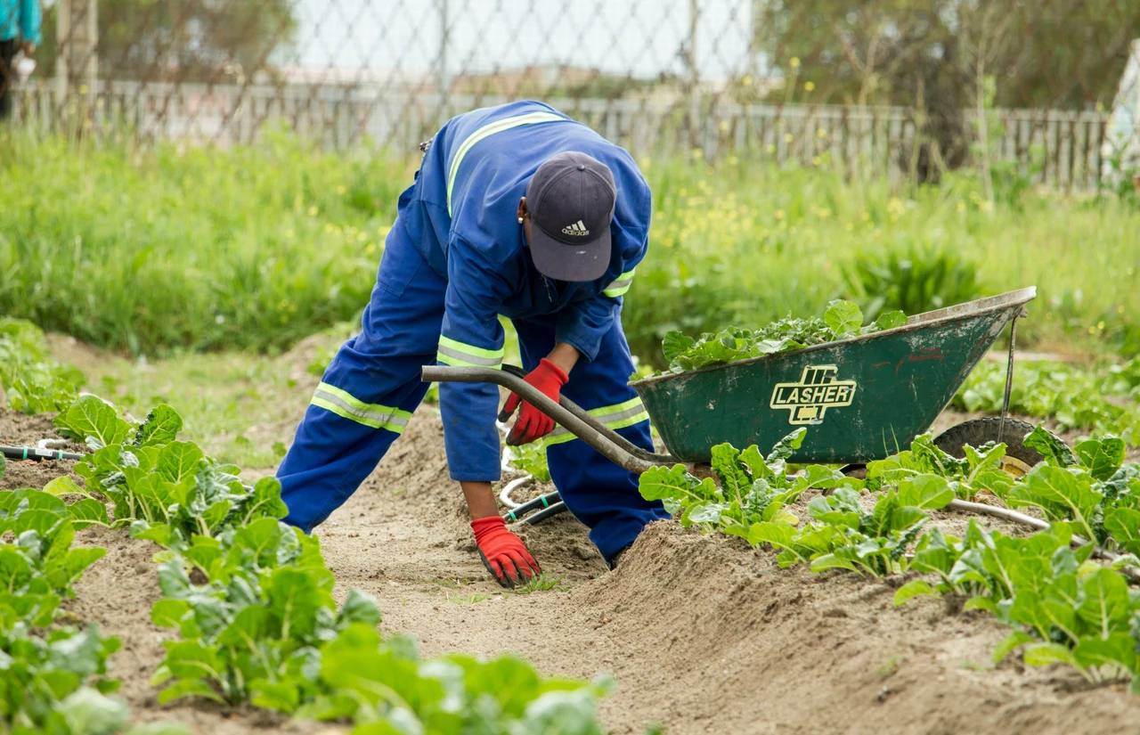 Ecco come trasformare una passione in un lavoro